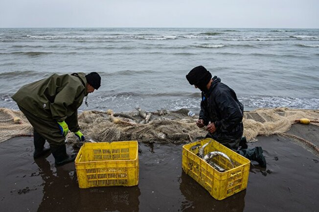 ایجاد بیش‌ از ۳۰ هزار طرح اشتغال‌زایی در مناطق محروم طی ۷ ماهه امسال