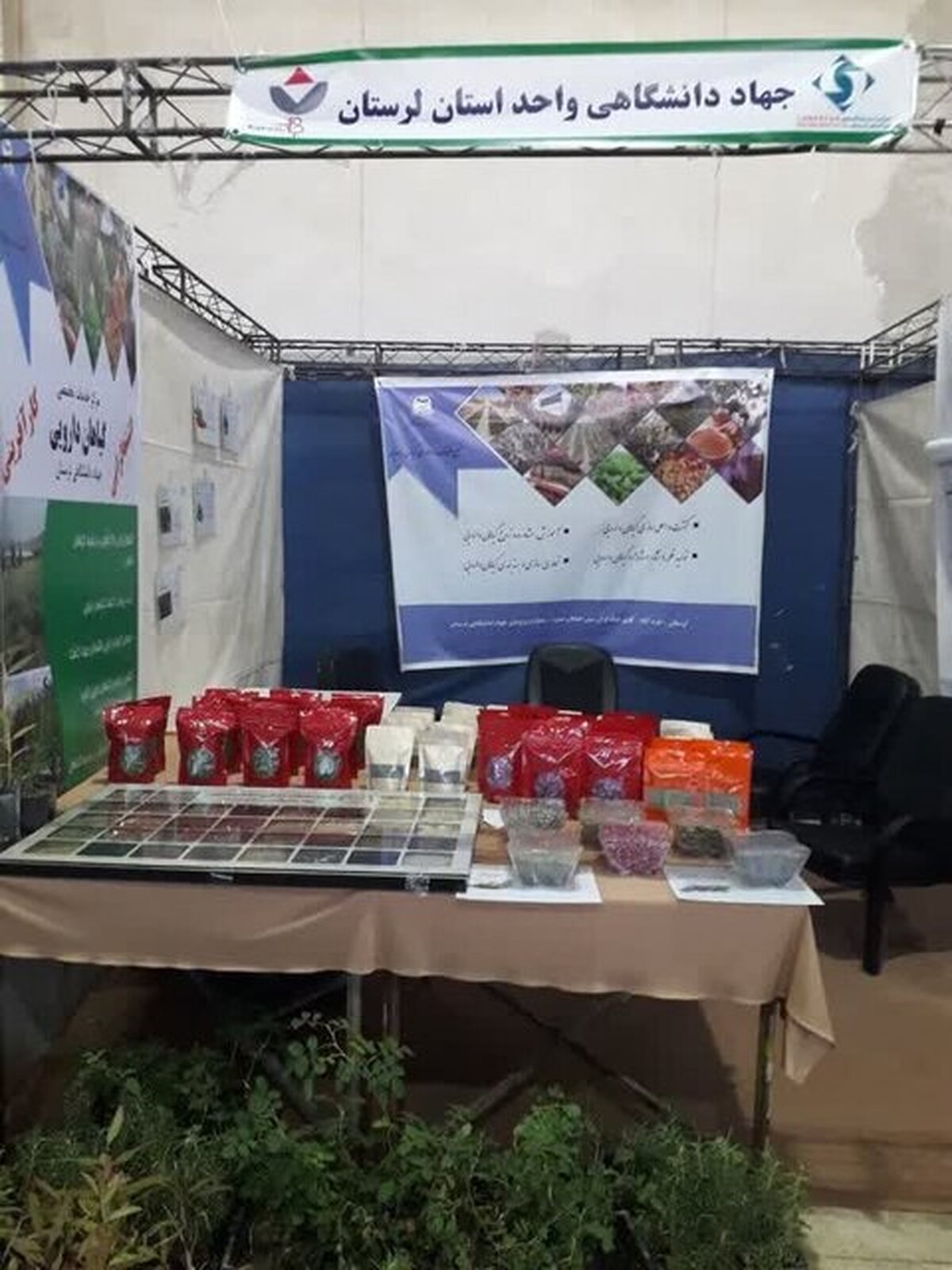 کمک به توسعه کشاورزی نوین و دانشبنیان؛ هدف مرکز گیاهان دارویی جهاد دانشگاهی لرستان