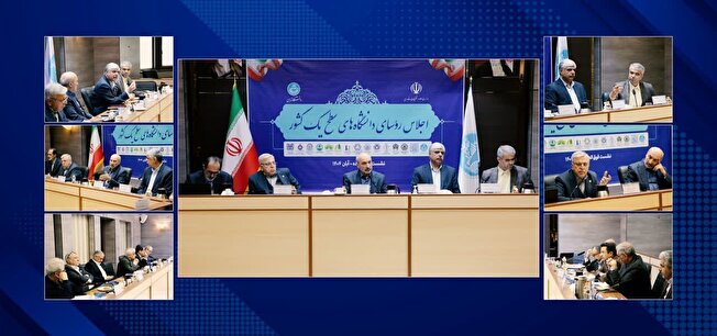 حقوق ناچیز استادان جوان عامل مهاجرت است