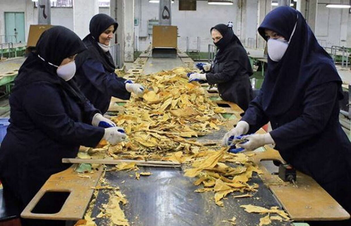 فرصت زیادی برای جذب تسهیلات مشاغل خانگی نیست