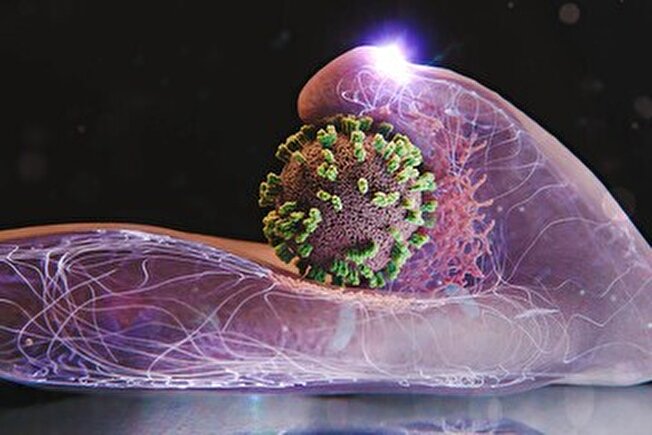 دو فوتی تأییدشده آنفلوآنزا در آذربایجان شرقی/ وضعیت تحت کنترل است