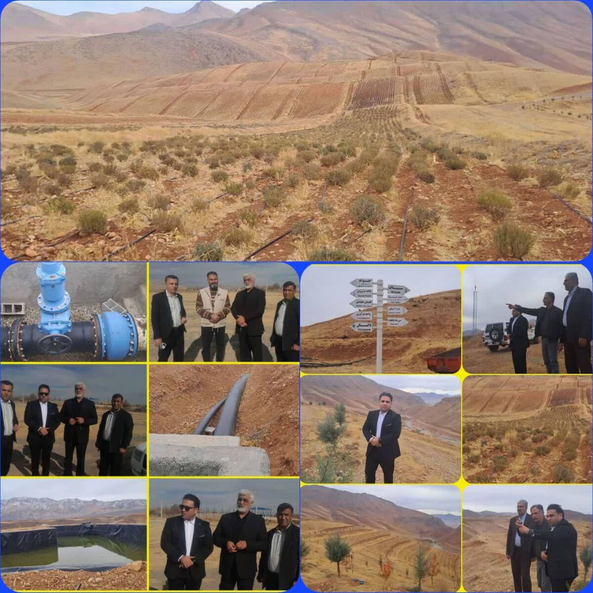 گلخانه یکی از سودمندترین و بهترین ابداعات بشر است