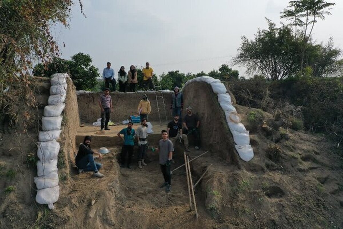 شکفتن دانه برنج ۳۰۰۰ ساله از کاوش لایه‌نگاری محوطه باستانی قلعه‌کِش آمل