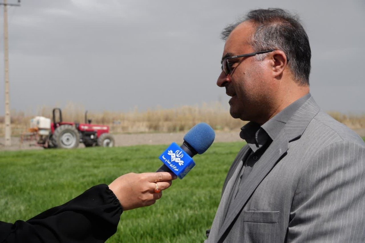 ۴۰۶ هزار هکتار از اراضی آذربایجان غربی زیر کشت گندم رفت