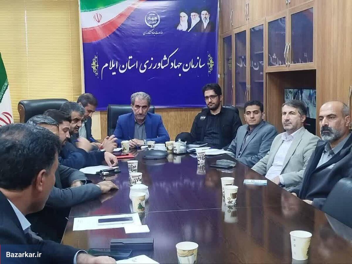 نظارت مستمر بر زنجیره تأمین و توزیع در ایلام