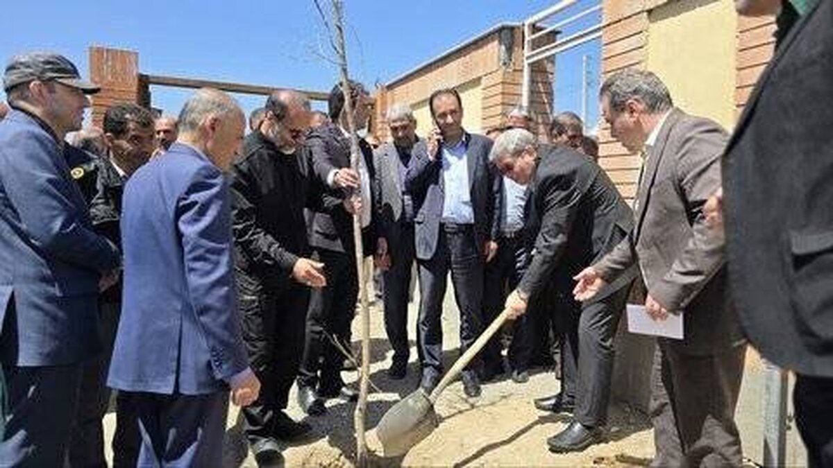 پیام رئیس سازمان بهزیستی به مناسبت روز روانشناس و مشاور