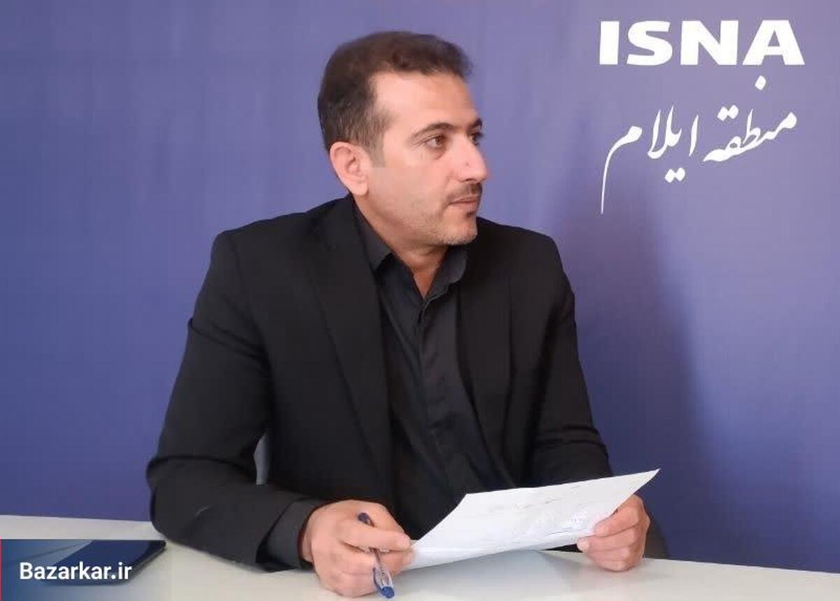 پرداخت ۸۸ درصد اعتبارات مشاغل خانگی در ایلام/ فعالیت ۱۳ مرکز کاریابی و ۱۶ مرکز مشاوره و خدمات کارآفرینی در استان