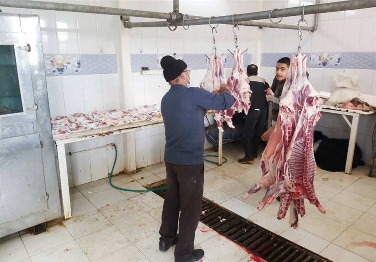 حدود ۸۰۰ میلیارد تومان کمک مردمی/ بیش از ۷۵۰ پایگاه کمیته امداد در کشور آماده دریافت و توزیع نذورات مردم
