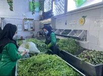 هند و روسیه از مشتری های مهم محصولات کشاورزی و غذایی گیلان