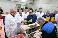 کشتار روزانه ۴۵۰ تن مرغ در آذربایجان شرقی