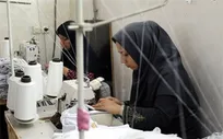 بالغ بر ۱۰۰۰ نفر از مددجویان البرزی مشغول به کار شدند