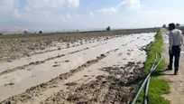 ایسنا-خراسان رضوی/ بیمه کشاورزی؛ بهترین پشتوانه برای حفظ سرمایه کشاورزان