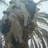 کشف جسد ۳ کارگر راه آهن در پی سیل