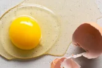 شهر تخم مرغ راه اندازی می‌شود