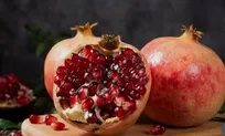 پوست انار به خدمت صنعت دارو می‌آید!