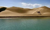 دَرَک؛ روستایی که دریا، باغ و گردشگری چرخ اشتغال آن را می‌چرخاند