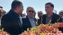 ۱۲۰ میلیارد تومان تسهیلات ۸ درصدی برای دهیاری‌های خراسان جنوبی
