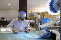 فعالیت ۶۵ شرکت دانش بنیان در بخش کشاورزی کشور