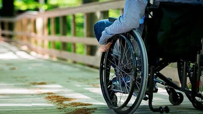 ۴ هزار توان‌یاب در صف استخدامی‌های جدید تهران