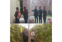 نظارت میدانی مدیرکل تعاون، کار و رفاه اجتماعی خراسان شمالی از دریافت‌کنندگان تسهیلات اشتغالزا