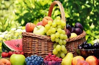 پیش‌بینی تولید ۱.۴ میلیون تن محصولات باغی در آذربایجان‌شرقی