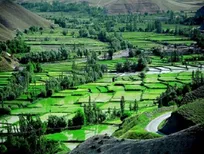 فرماندار مشهد:
کلات یکی از شهرستان‌های مطرح در حوزه گردشگری خراسان رضوی است
