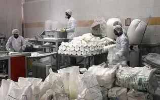فراخوان استخدام در شرکت قند تربت حیدریه