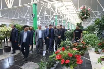 گل و گیاه مازندران جای دیگر پول می شود