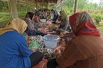 فعالیت ۱۰ هزار خانوار نوغاندار در گیلان