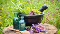 برای نخستین بار؛ 

کاشت گیاه دارویی نعناع در رشتخوار خراسان رضوی آغاز شد