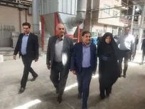 شناسایی ۱۲ هزار واحد تولیدی راکد در کشور