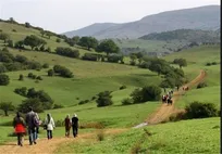 برگزاری هرگونه تور در لرستان ممنوع است