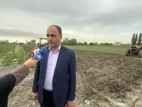 کشت بیش از 73هزار هکتار حبوبات در دیم زارهای آذربایجان غربی 