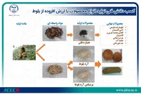 کسب دانش فنی تولید انواع محصولات با ارزش افزوده از بلوط