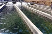 اشتغال ۶۰ هزار نفر در زمینه شیلات خوزستان