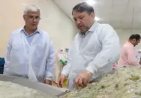 تحقق اشتغال ۲ هزار نفر در صنعت فرآوری میگو گلستان
