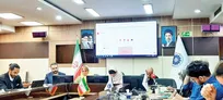 بیش از ۵۰درصد فروشگاه های برخط  اینستاگرام توسط زنان اداره می‌شود
