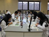 فراخوان حمایت از طرح‌های پژوهشی و دوره پسادکتری تمدید شد