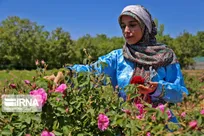 بازنشستگی؛ سفری نو در زندگی