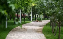 وضعیت استخدامی نیرو‌های فضای سبز اراک تثبیت شد