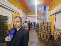 ذخیره ۱۵۰ تن سیب و ۲۷۵ تن پرتقال در آذربایجان‌غربی برای تامین بازار ایام پایانی سال