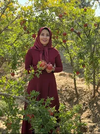 کارآفرینی شیرین با مزه ترش انار