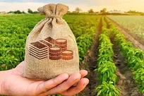 بررسی عوامل راه‌اندازی کسب‌وکارهای نوپا در یک صنعت مهم