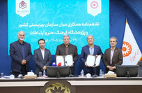 پیمایش ملی سالمندان آغاز می‌شود؛ ایران در سال ۱۴۳۰ یکی از سالخورده‌ترین کشورهای جهان می‌شود