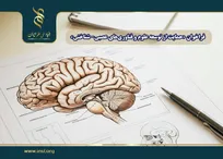 اعلام فراخوان «حمایت از توسعه علوم و فناوری‌های عصبی-شناختی»