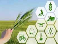 کارآفرینی از دل خاک