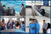 بازدید رییس جهاددانشگاهی از مجتمع آبزیان دریایی این نهاد در بندر دلوار