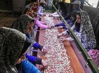 اعطای ۲۰۰ میلیارد ریال تسهیلات اشتغال‌زایی برای مددجویان ابهری