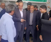 طرح‌های تولیدی رفسنجان الگوی موفق اشتغال روستایی است