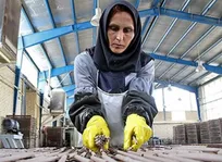 چند درصد نیرو‌های کار در تهران زن هستند؟